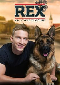 Rex poster