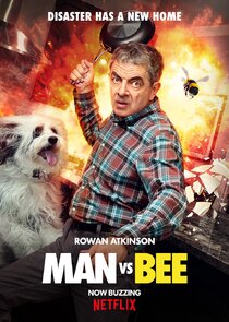 Man vs Bee poster