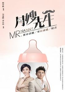 Mr. Nanny poster