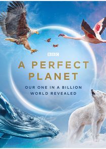 A Perfect Planet poster
