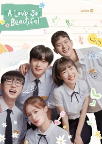 A Love So Beautiful poster