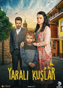 Yaralı Kuşlar poster