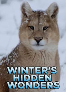 Winter's Hidden Wonders poster