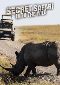 Secret Safari: Into the Wild poster