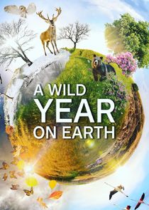 A Wild Year on Earth poster