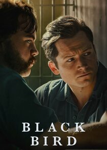 Black Bird poster