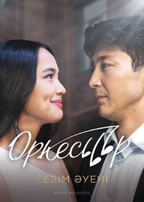 Оркестр poster