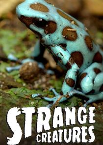 Strange Creatures poster