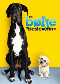 Fra bølle til bestevenn poster