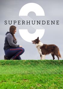 Superhundene poster