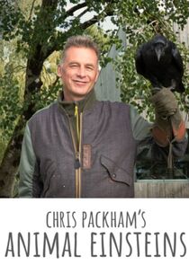 Chris Packham's Animal Einsteins poster