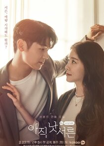 How to Be Thirty poster