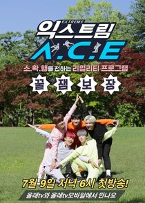 Extreme A.C.E poster
