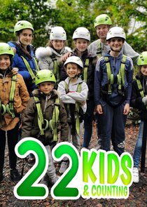 22 Kids and Counting poster