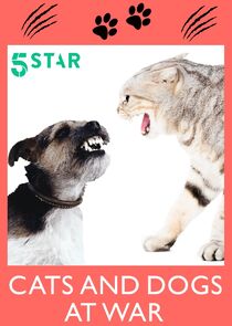 Cats and Dogs at War poster