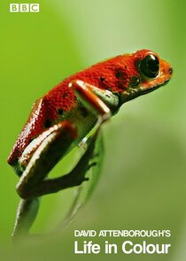 Attenborough's Life in Colour poster