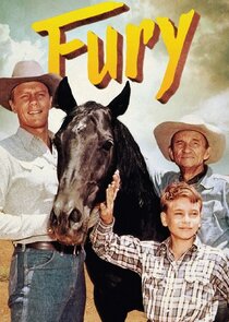 Fury poster