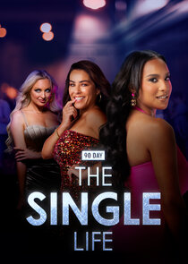 90 Day: The Single Life poster