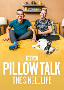 90 Day Pillow Talk: The Single Life poster