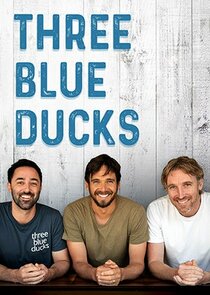 Three Blue Ducks poster