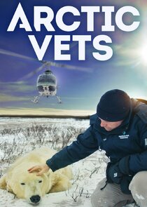 Arctic Vets poster