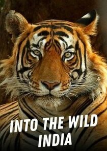 Into the Wild India poster