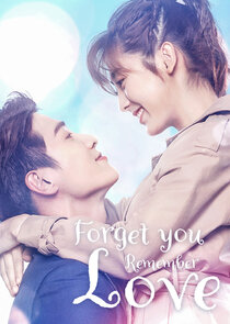 Wang Ji Ni Ji De Ai Qing poster