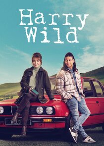 Harry Wild poster