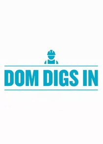 Dom Digs In poster