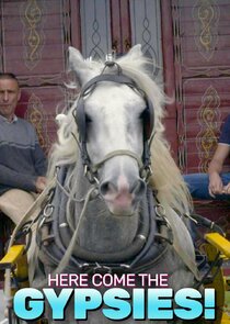 Here Come the Gypsies! poster