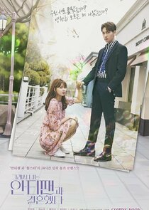 So I Married an Anti-Fan poster