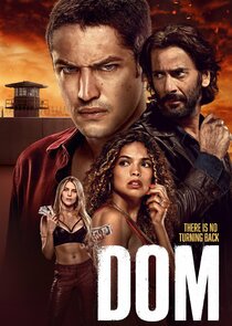 Dom poster
