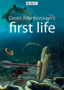 David Attenborough's First Life poster