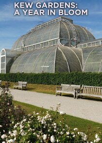 Kew Gardens: A Year in Bloom poster