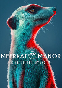 Meerkat Manor: Rise of the Dynasty poster