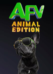 America's Funniest Home Videos: Animal Edition poster