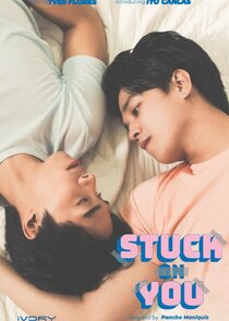 Stuck on You poster