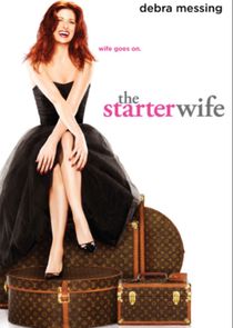 The Starter Wife poster