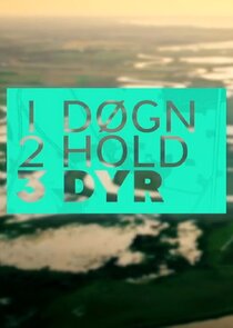 1 døgn, 2 hold, 3 dyr poster