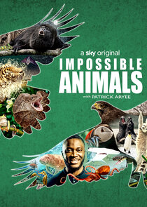 Impossible Animals poster