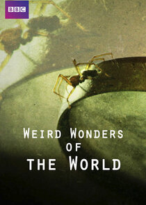 Weird Wonders of the World poster