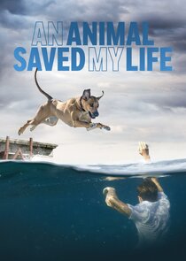 An Animal Saved My Life poster