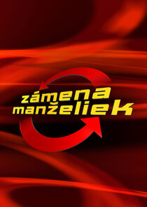 Výměna manželek poster