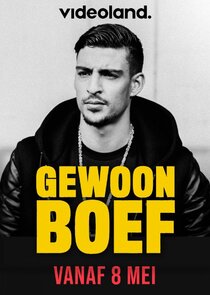 Gewoon Boef poster