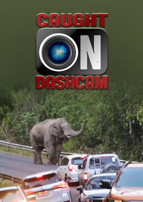 Caught on Dashcam poster