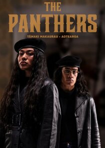The Panthers poster
