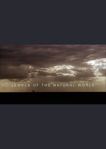 Jewels of the World poster