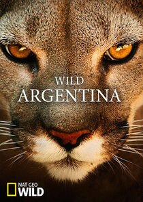 Wild Argentina poster