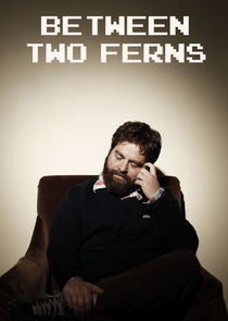 Between Two Ferns with Zach Galifianakis poster
