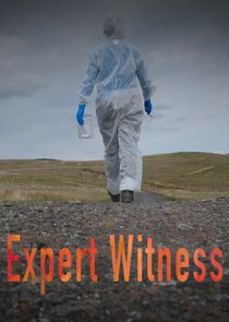 Expert Witness poster